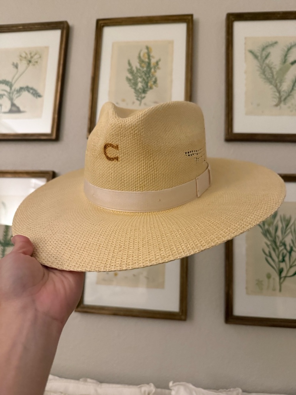 Charlie Horse Wide-Brim Straw Hat